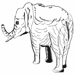 colorging pages elephant
