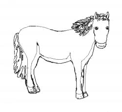 coloring pages horse