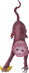 snake