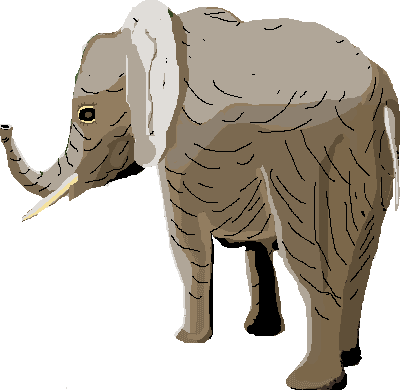 zoo