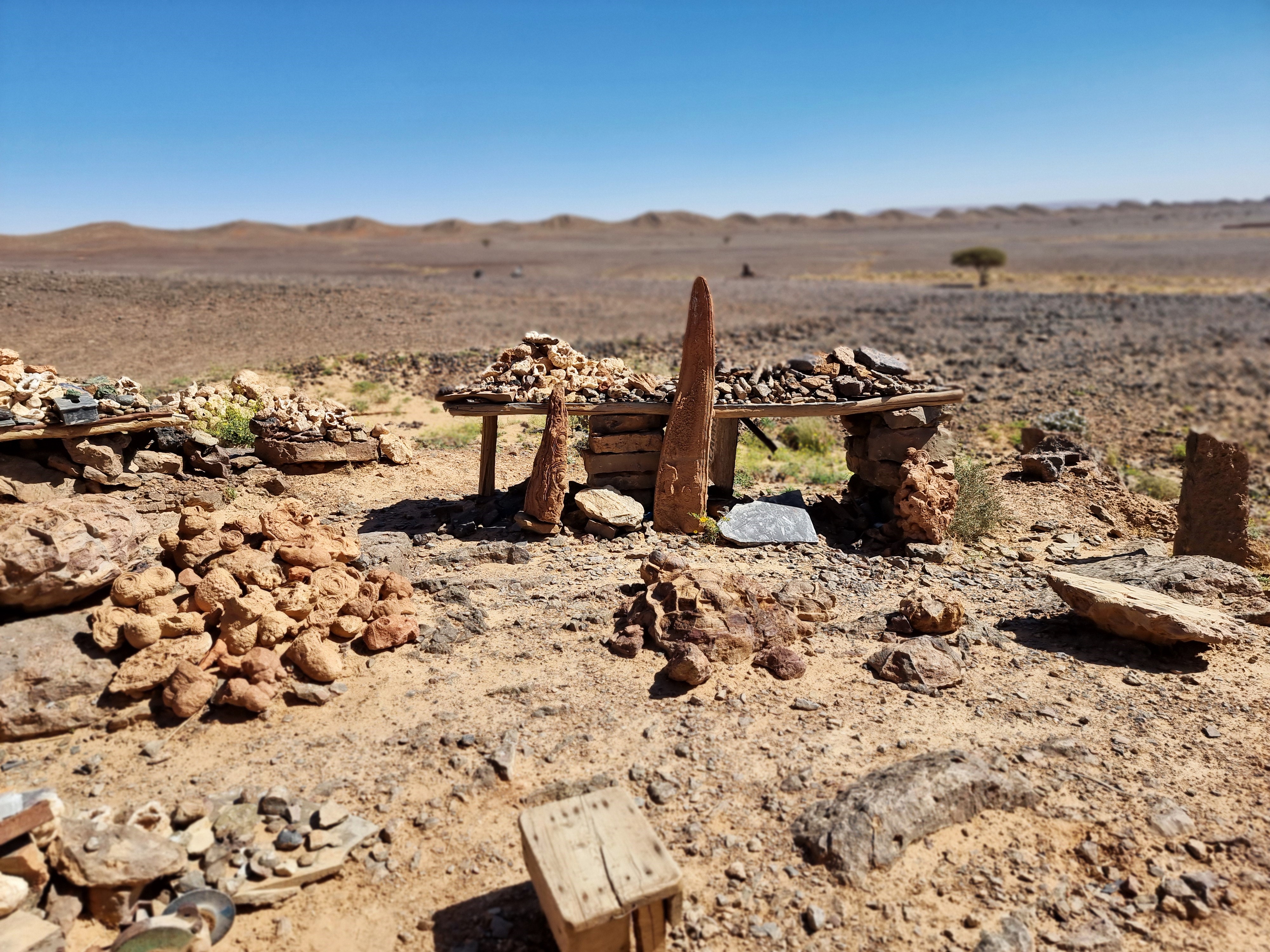 desert
