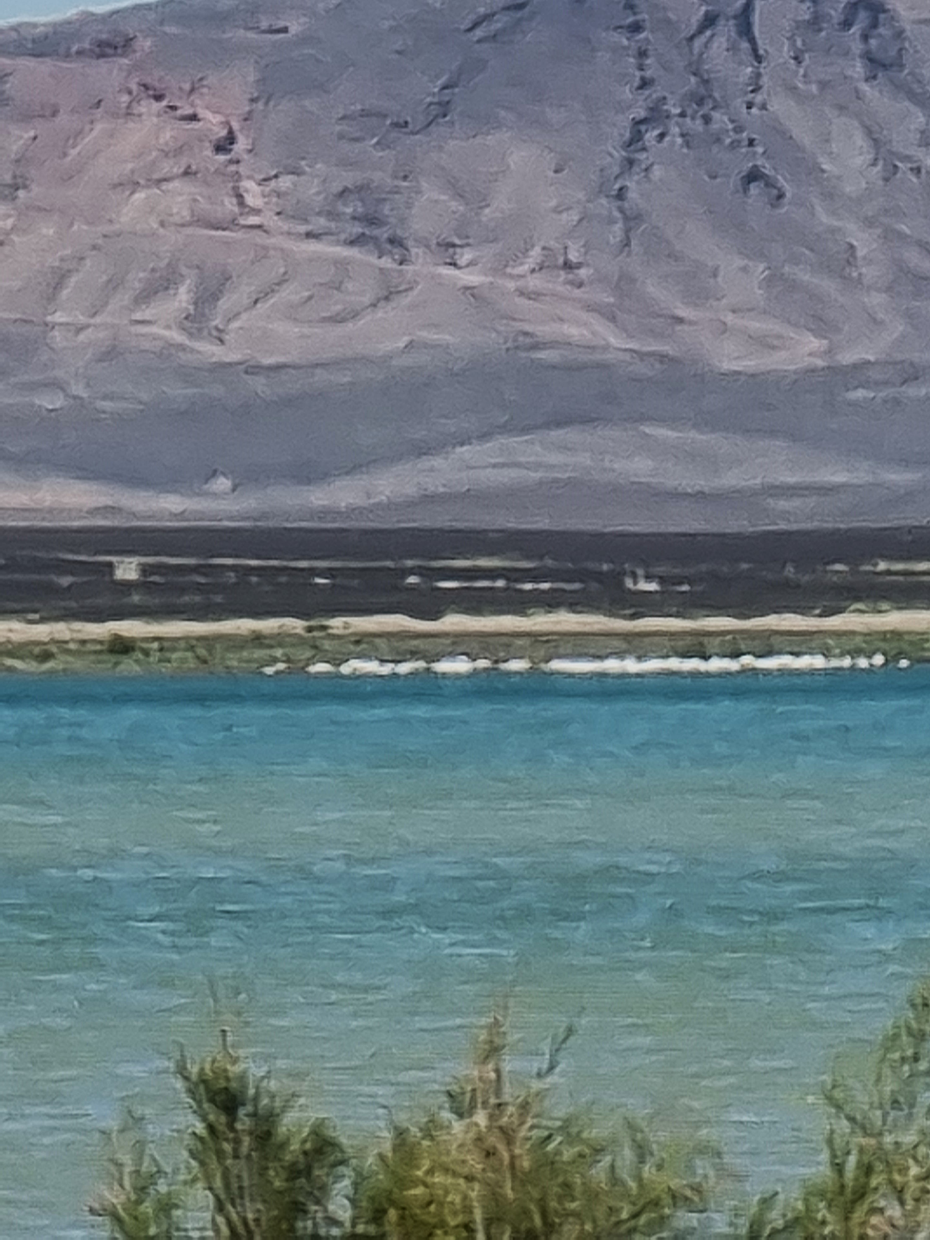 desert